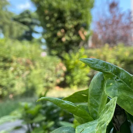 Gasthuis La Regal Brescia