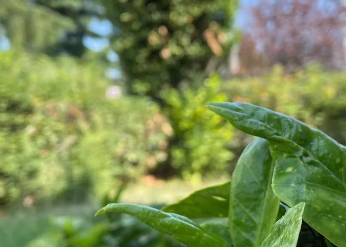 Maison d'hôtes La Regal Brescia